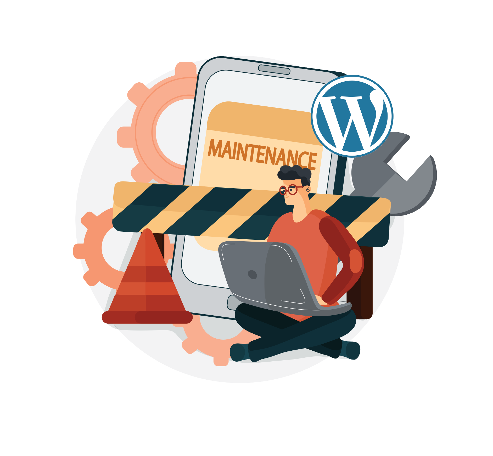 WordPress Maintenance Services